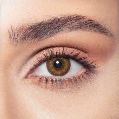 BELLA DAILY ALMOND BROWN